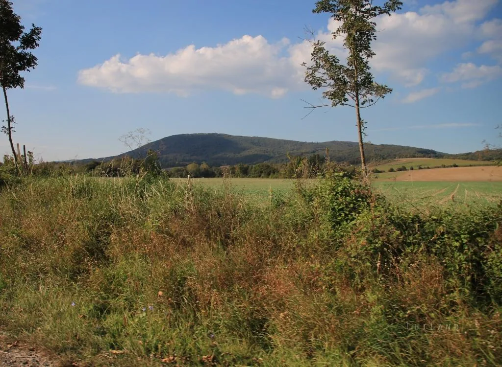 Fotó:Luiland