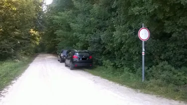 Képek