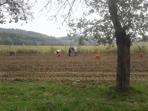Fotók: