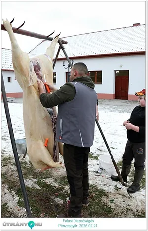 Képek