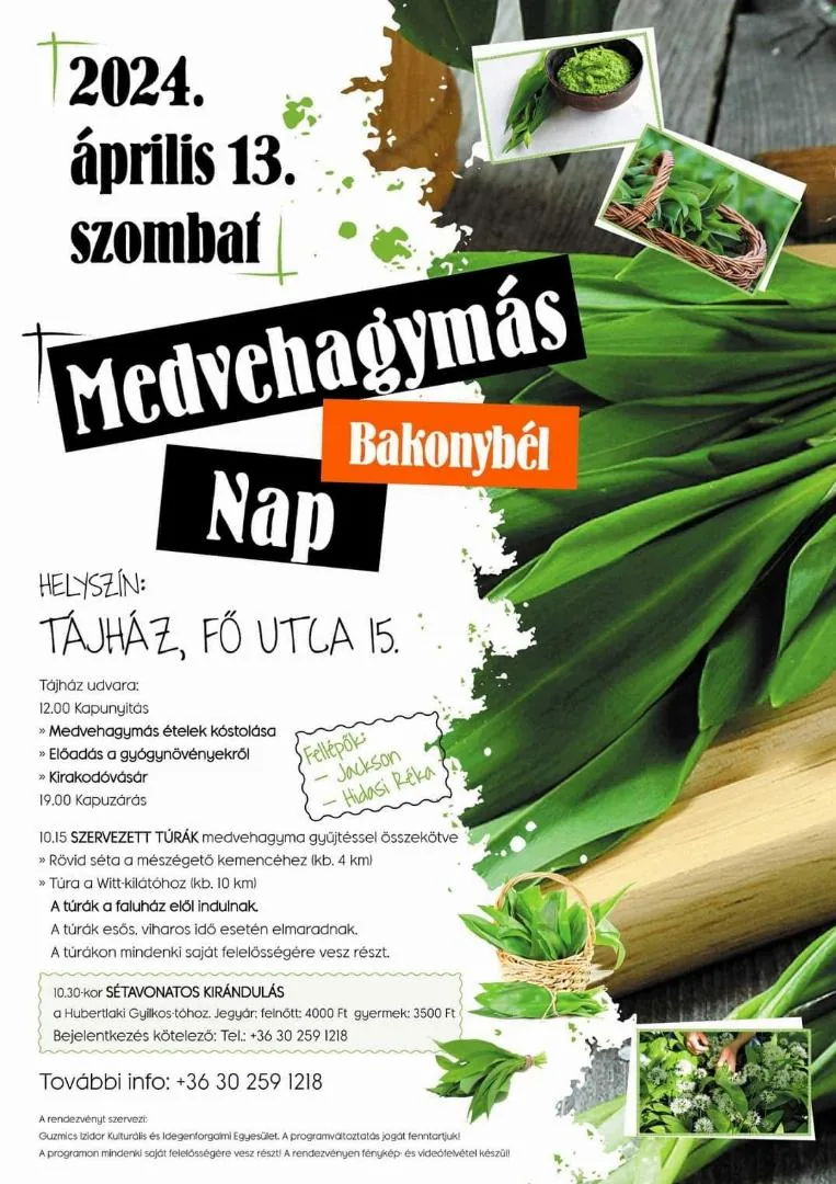 Plakát