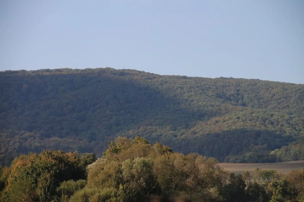 Fotó:Luiland