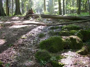 Képek 2014