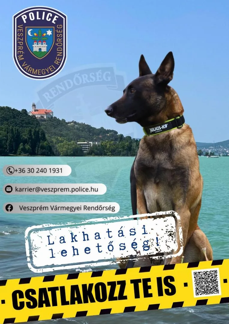 Plakátok