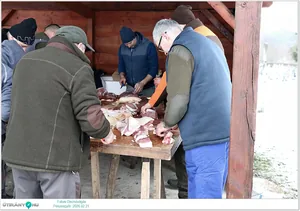 Képek