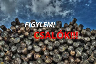 FIGYELEM! Tűzifás csalók! borítóképe