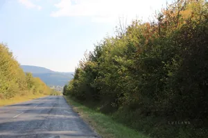 Fotó:Luiland