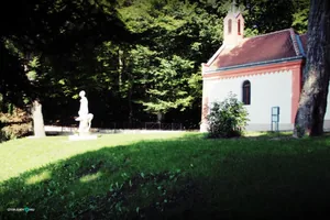 Szent-kút 2019