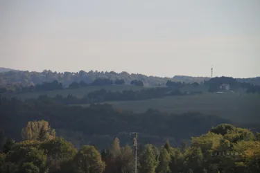 Fotó:Luiland