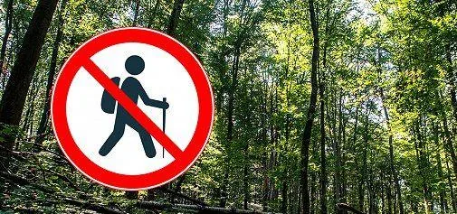 'Erdőlátogatási korlátozás' cikk borítóképe