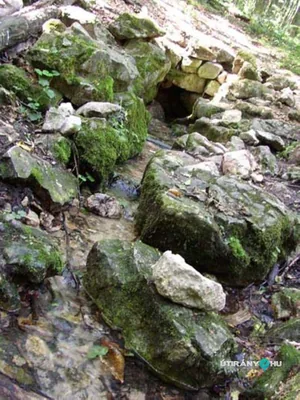 Képek 2014
