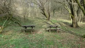 Galéria