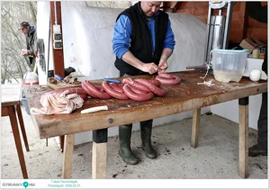 Képek