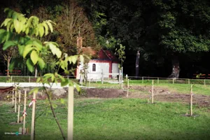Szent-kút 2019
