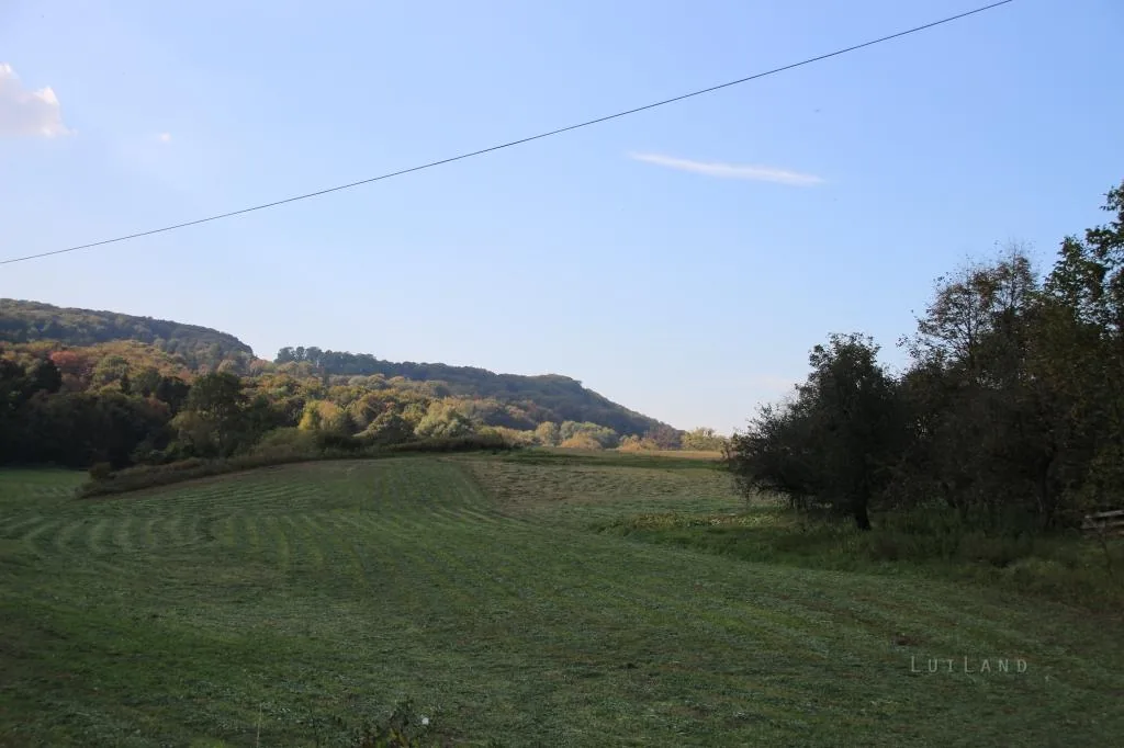 Fotó:Luiland