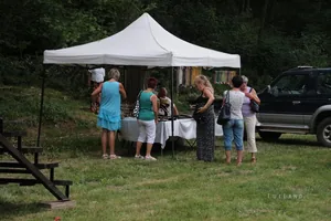 Falunap képek 2017
